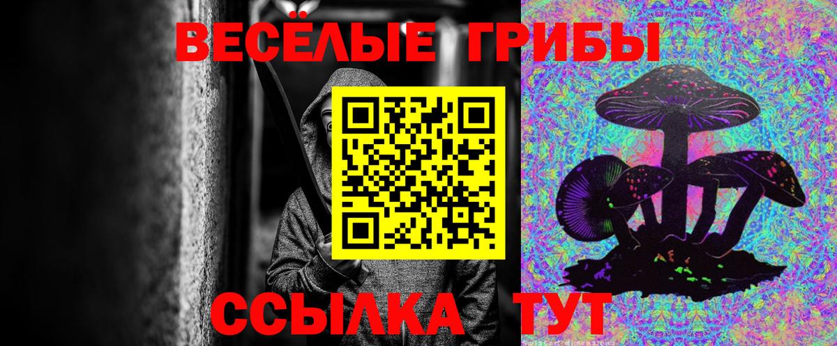 Галлюциногенные грибы Psilocybine cubensis  где купить   Губкин  Вход с VPN 
