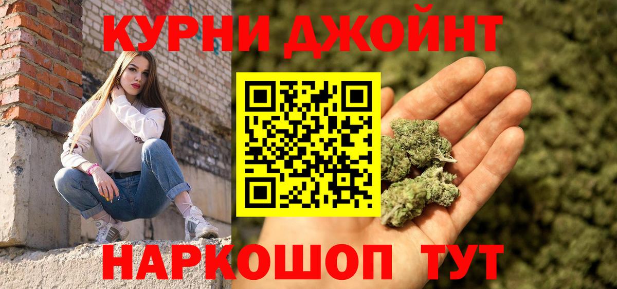 Конопля планчик Губкин